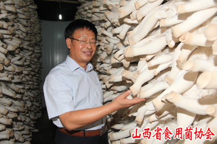 2014年8月在晋城基地指导杏鲍菇工厂化生产2 拷贝.jpg 2014年8月在晋城基地指导杏鲍菇工厂化生产2 拷贝.jpg