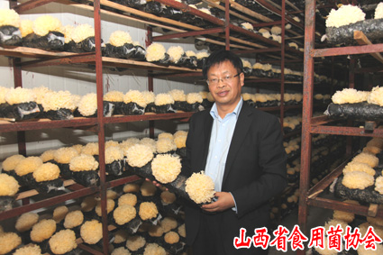 2014年11月在晋城基地指导银耳工厂化生产2 拷贝.jpg 2014年11月在晋城基地指导银耳工厂化生产2 拷贝.jpg